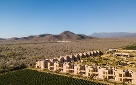 Paradero Todos Santos - Experience Inclusive